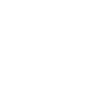 Bitzer Logo